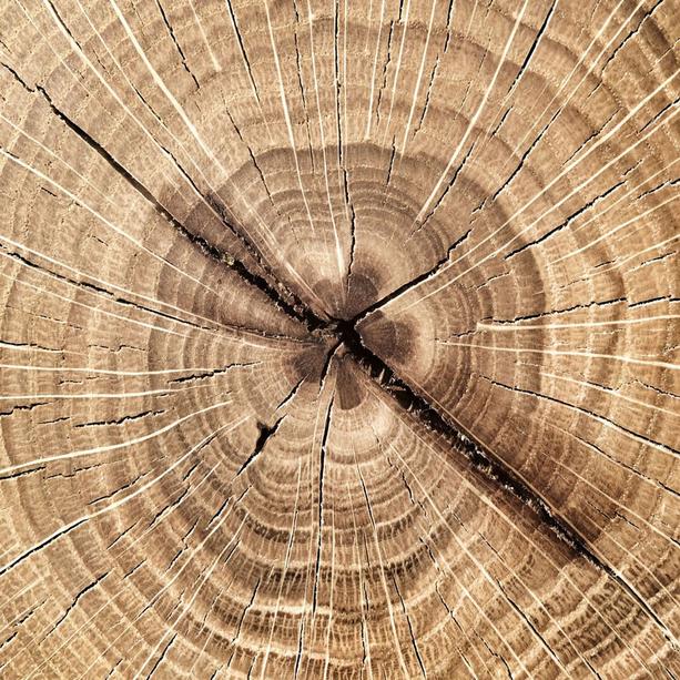 Einzelgrabstein Granit schwarz mit Holz - Carisso Legno